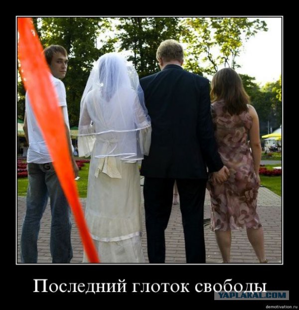 Сообразительный