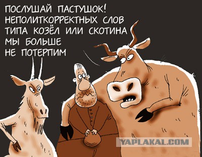 Терпение лопнуло: жители Петербурга, устроили расправу над догхантерами