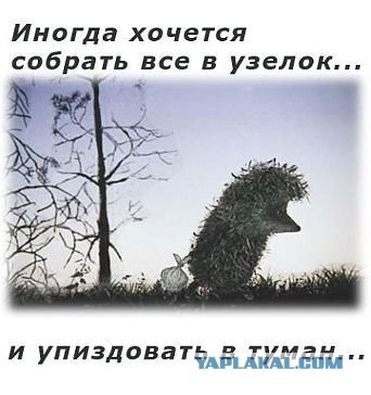 Очередная порция картинок из сети
