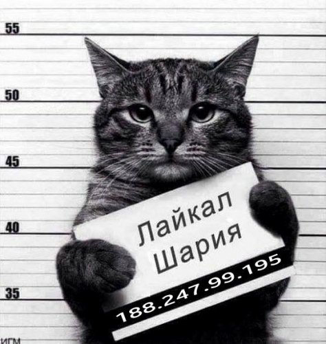 Вычислю по IP