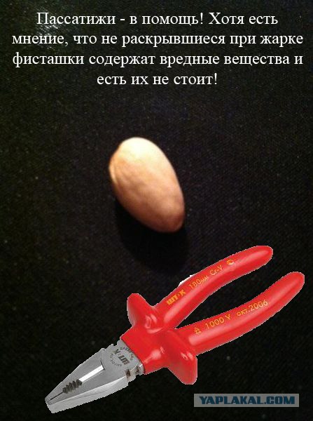 Самые «серьезные» проблемы современности