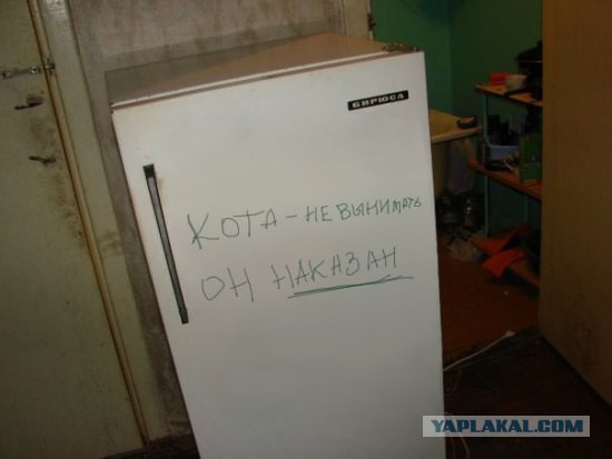 Картинки