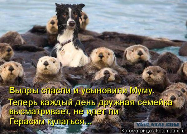 Собакочетверг 17.09.2015