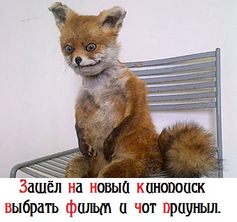 Новый Kinopoisk