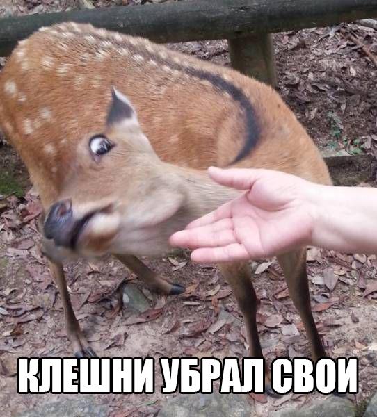 Наркоманский юмор