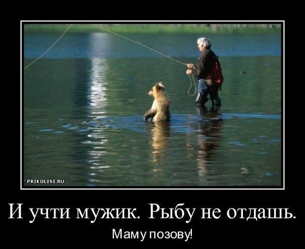 Подборка прикольных фото на пятницу
