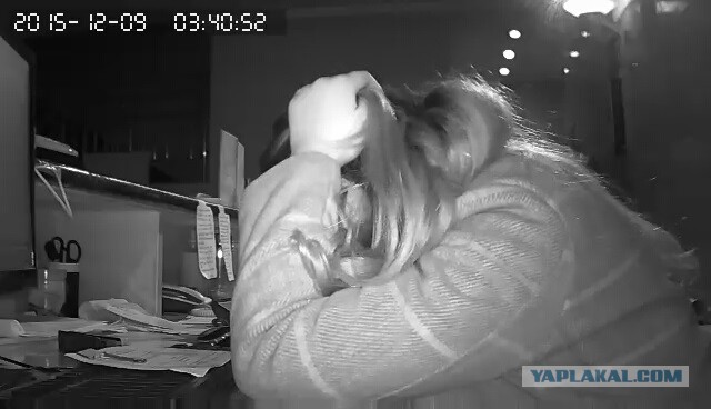 За что я люблю китайцев