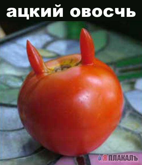 Эта сексуальная природа. РАСТЕНИЯ, ПЕЙЗАЖИ