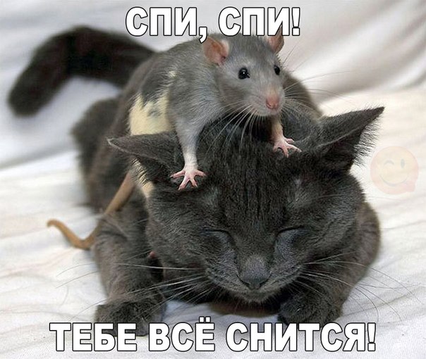 Подборка прикольных картинок