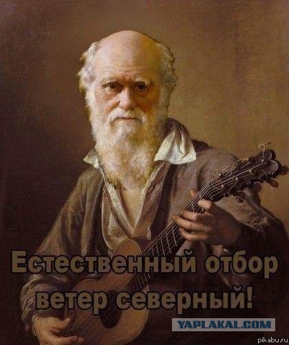 Парень разбился в гипермаркете. Рязань