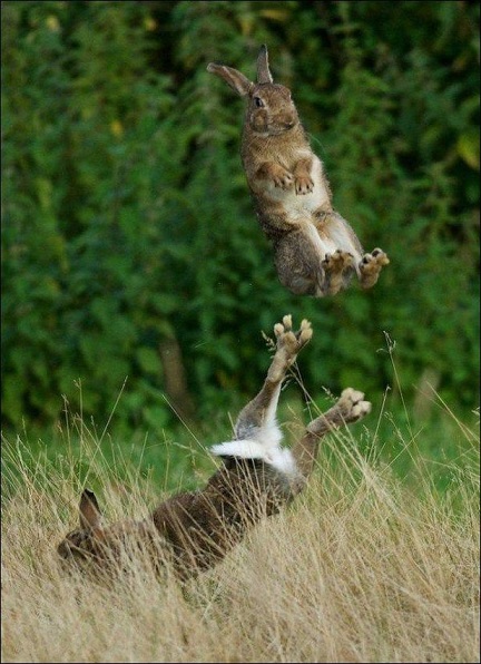 Интересные и веселые картинки