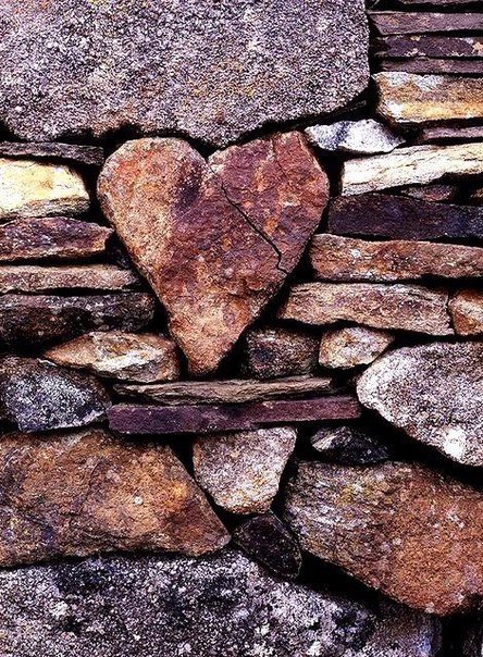 Интересные и веселые картинки