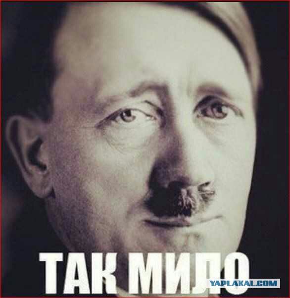 Бабы, вы совсем?