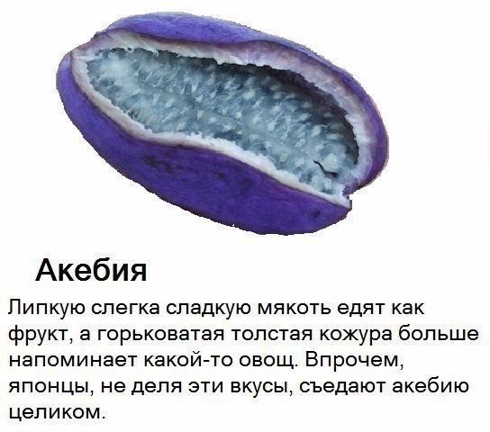 Подборка интересных и смешных картинок