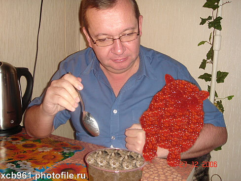 Фотожаба: Правильное питание для кота