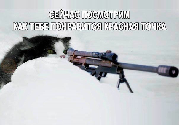 Прикольные животные