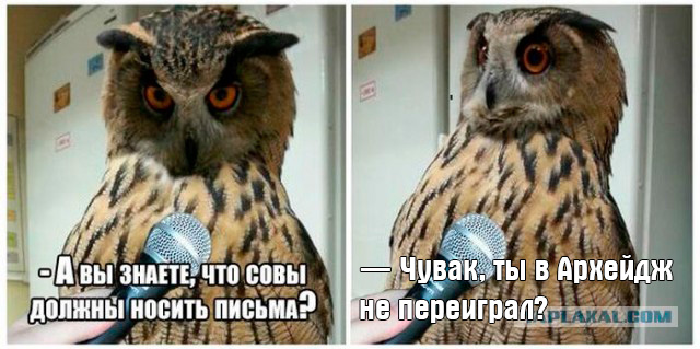 Мне это смешно. А Вам?