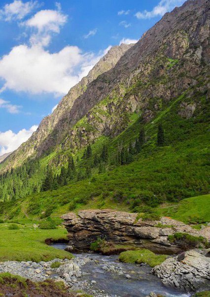 Картинки для отдыха глаз