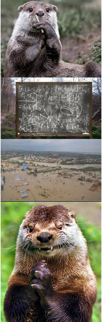 Юмор не для всех