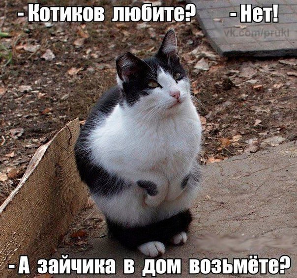 Разные картинки из сети