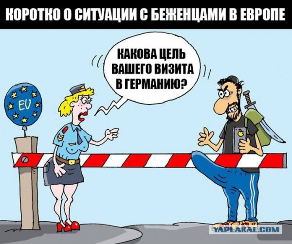 В Берлине начался пеший поход в Алеппо