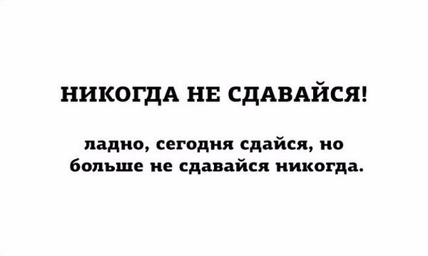 Подборка интересных и веселых картинок