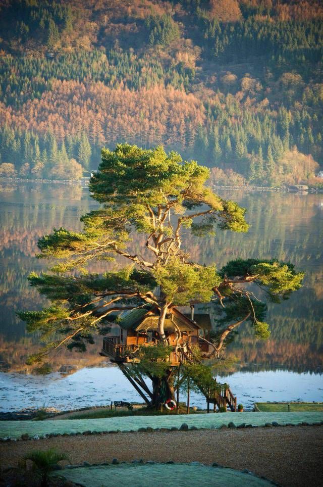 Фото интересные и не только