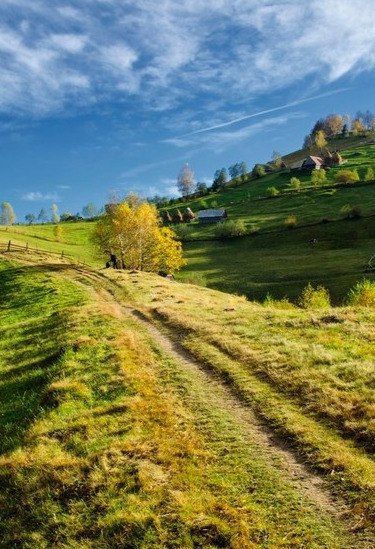 Моменты, запечатлённые на фото и просто позитив 5