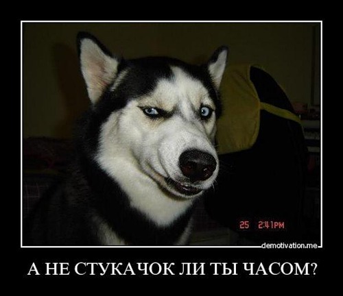 ВНИМАНИЕ! Серийный маньяк продолжает убивать людей!