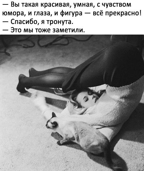 Смешные фекалии канализационных сетей 15.11.2017