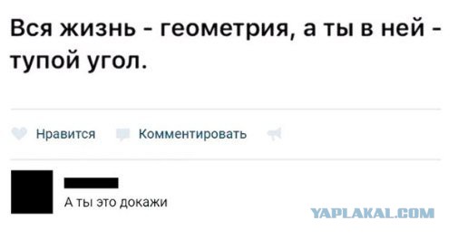 Смешные комментарии из социальных сетей 01.12.2017
