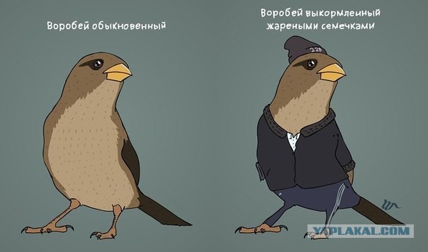 Взбодримся?