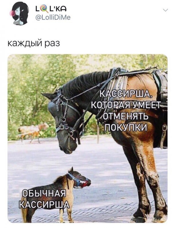 Приколы в стиле "регресс"