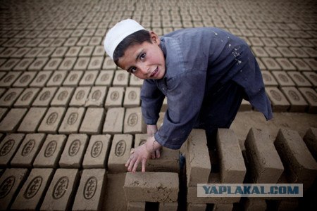 Сумасшествие по-русски. Шок!