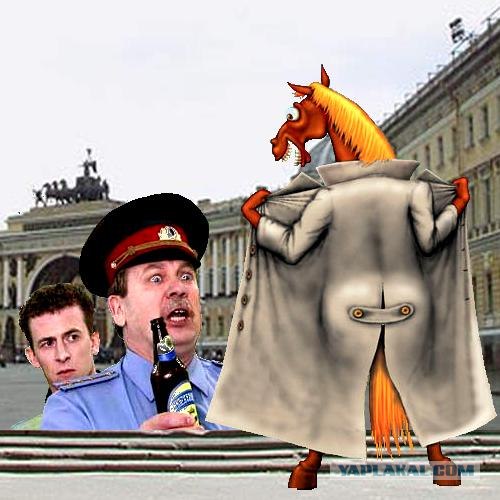 Превед медвед!