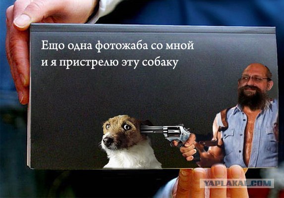 Фотожаба: Книги!