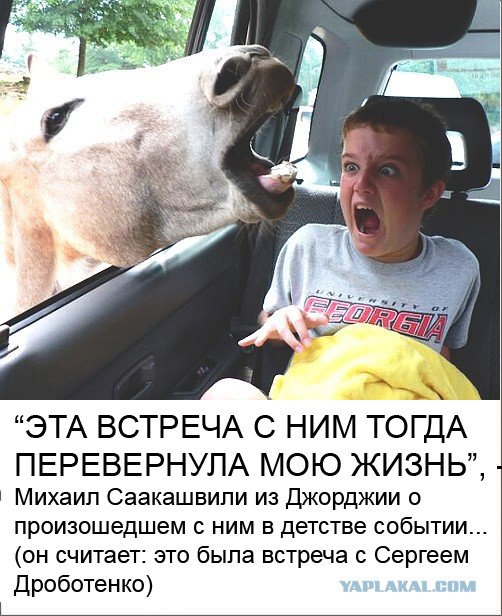 Фотожаба: Желтая пресса