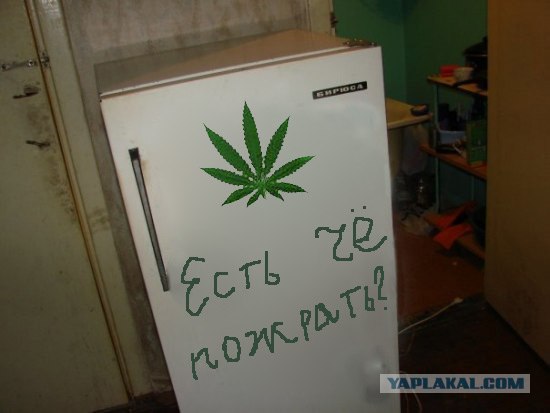 Холодильник в общаге