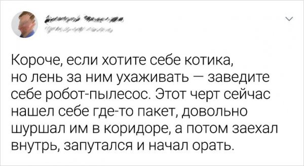 Картинки всякие 10.08.2021