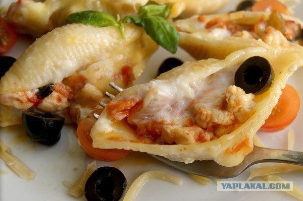 Макаронные ракушки