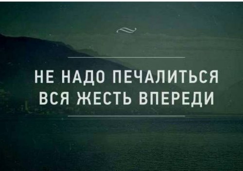 Забавные комментарии из социальных сетей (25.10.22)