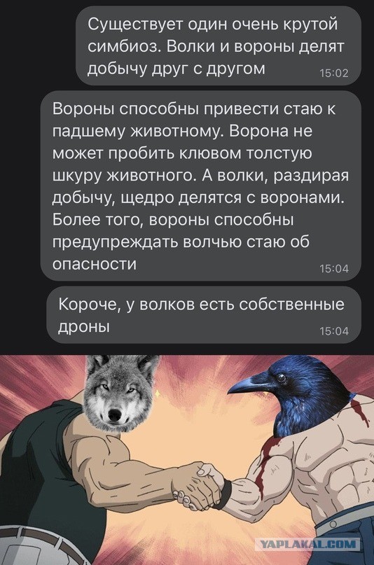 Симбиоз