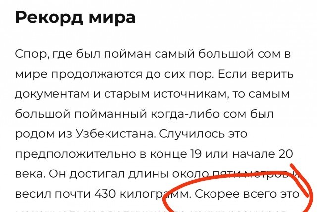 Меконгский гигантский сом: Одна из крупнейших пресноводных рыб мира весом под 300 кило!