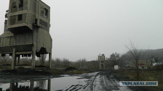 Житница, вольница, кладовая чёрного золота...