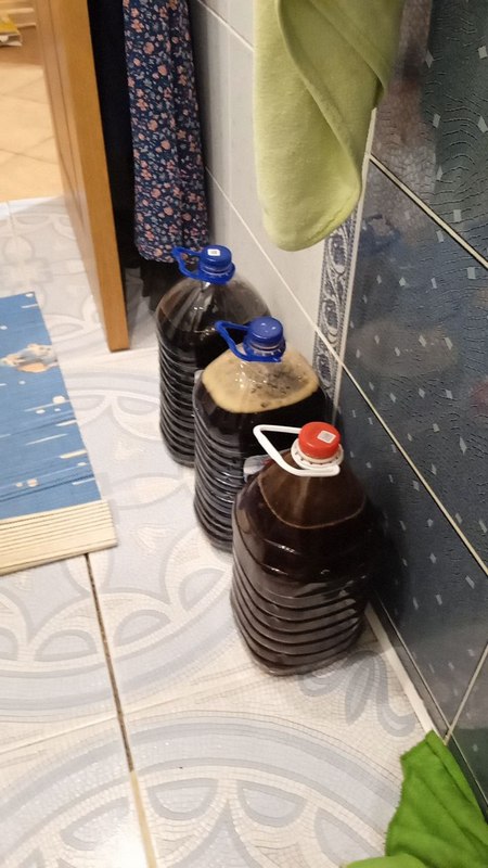 ПЛОТские утехи