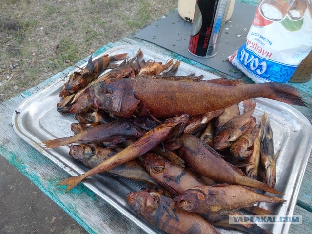 Рыбалка