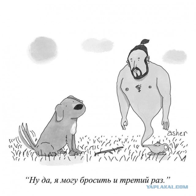 Когда желание сбывается