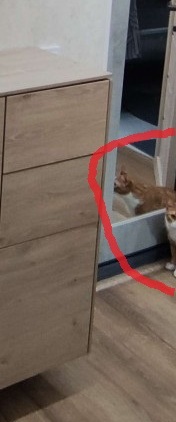 Обувница своими руками