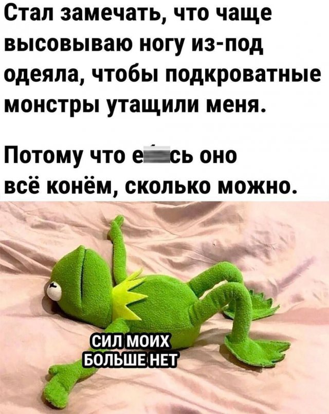 Так себе картинки 26.08.24