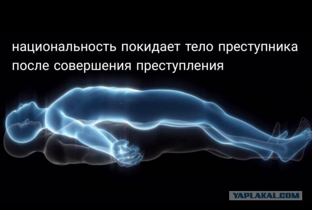 Щелковский суд арестовал на 2 месяца троих неадекватов, налетевших на свадебный автобус — свою вину они не признали